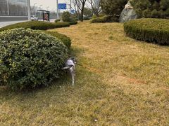 -木塔寺遗址生态公园