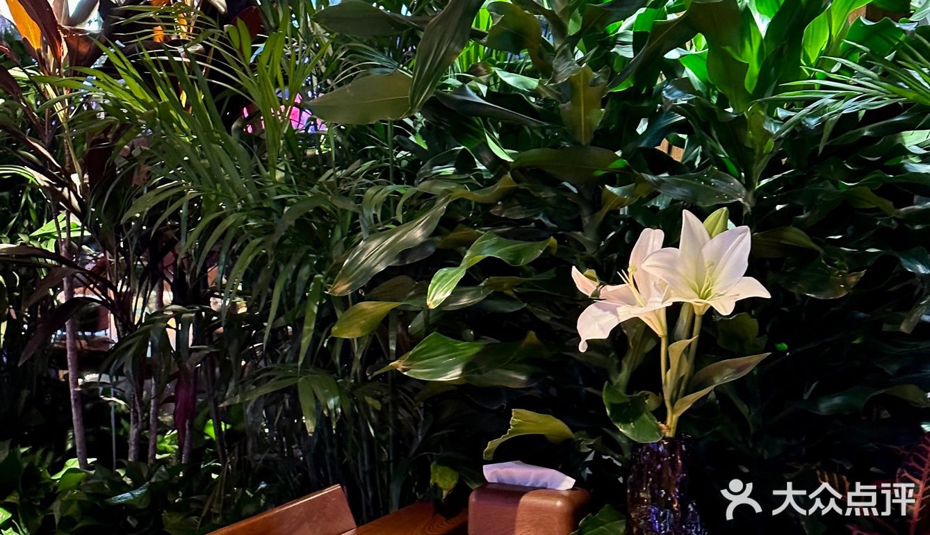 贵阳新店！小鱼餐厅好美啊！！🎏