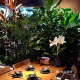 贵阳新店！小鱼餐厅好美啊！！🎏