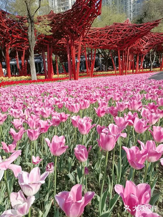 静安雕塑公园图片