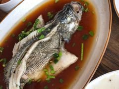 -悦哉·派对·草坪婚礼·围炉煮茶(三圣乡店)