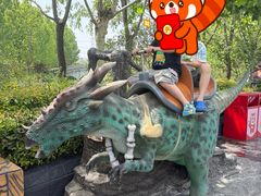 -郑州方特梦幻王国