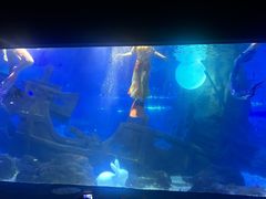 -江和美海洋公园