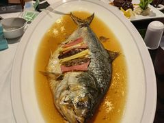 酒香鲥鱼-HOMES上海本帮菜(襄阳公园店)