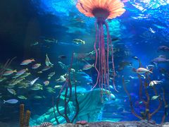 -沈阳海洋探索中心