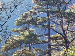 -东天目山风景区