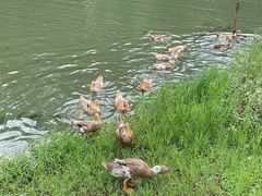 -白塘生态植物园