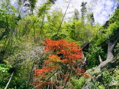 -萍乡武功山风景名胜区