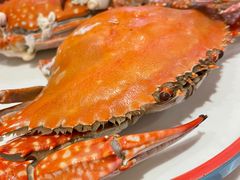 -渔民船说·北塘海鲜·天津菜·海肠捞饭(北塘古镇店)