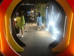 -周大福CHOW TAI FOOK(金光华广场店)