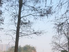 -重庆彩云湖湿地公园