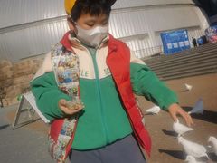 -烟台海昌鲸鲨海洋公园