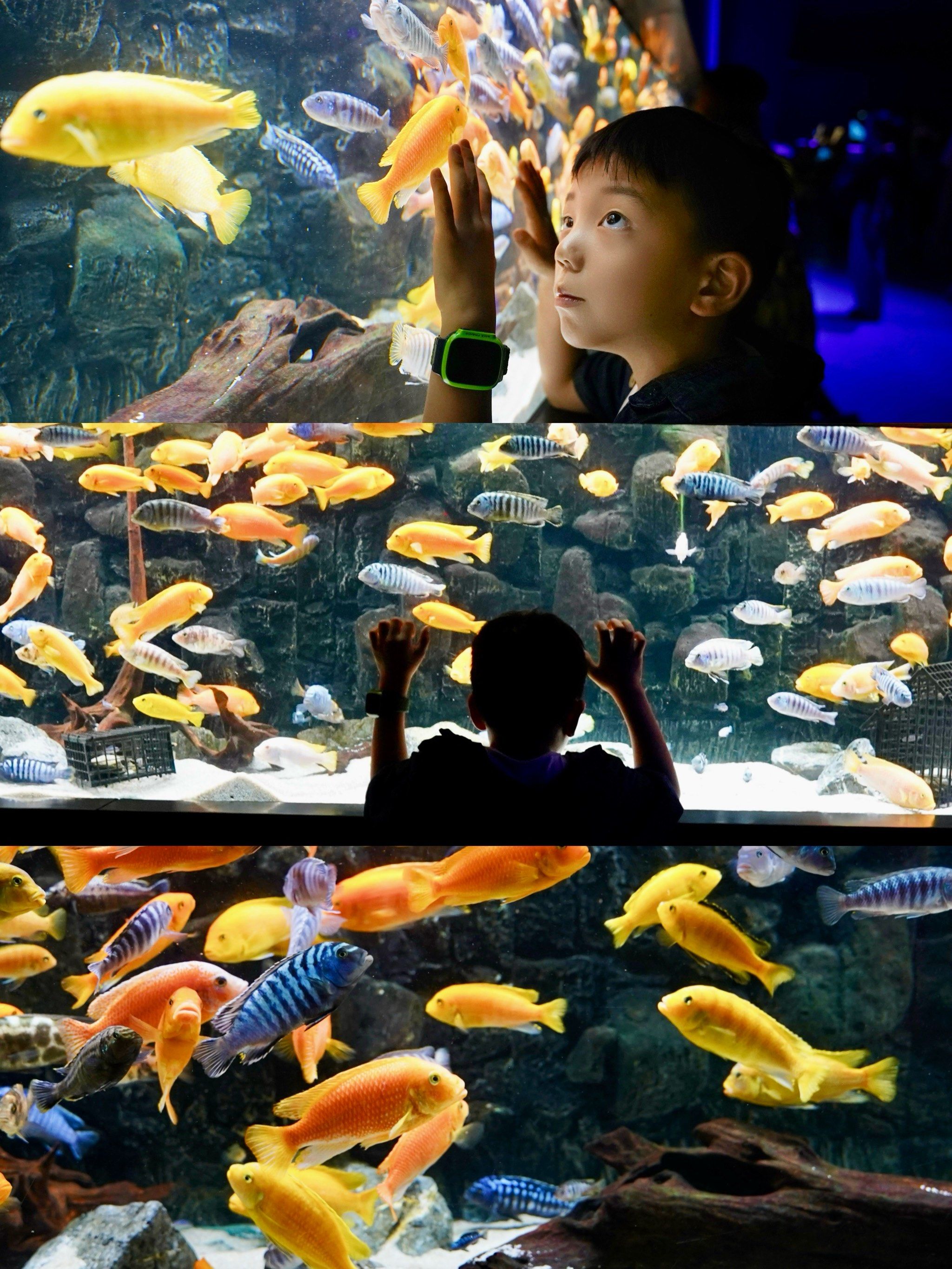 omg05海底世界已经next level