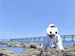 -黑石礁公园