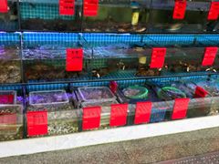 -洲晓鲜·舟山海鲜大排档(朱家尖风景区店)