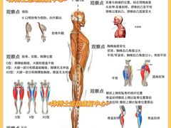 -体博士·疼痛调理·体态矫正·运动康复中心(大望路华贸店)