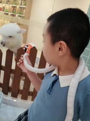 -Moni星球萌宠·小马宝莉·灵蛇·高端高阶全萌宠互动体验俱乐部(红豆国际广场店)