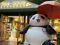-轩客会(熊猫书店)