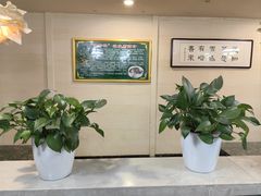 -伊姊花凉皮