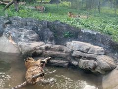 -深圳野生动物园
