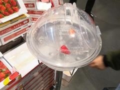 -Olé精品超市(广州太古汇店)
