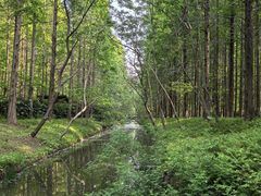 -黄海国家森林公园