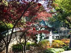 -申粤轩酒楼·三十年粤菜经典(丁香花园店)