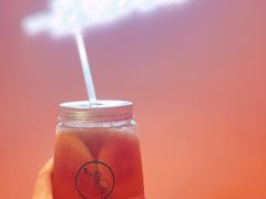 柠檬茶-狐狸和向日葵(北京路店)