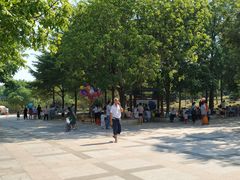 -广东茂名森林公园