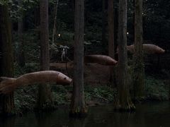 -波尔登森林公园
