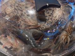 -山海•蒸汽活海鲜自助(皇庭广场店)