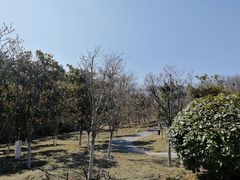 -浮山香苑