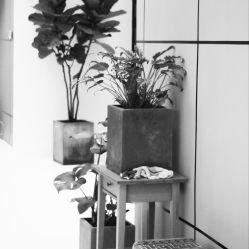 -无界瑜伽普拉提