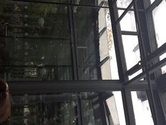 -星巴克(西湖天地店)