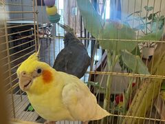 -潇湘·永州会馆(百子湾店)