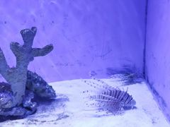 -重庆欢乐海底世界