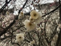 -潜口民宅博物馆