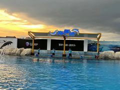 -三亚海昌梦幻海洋不夜城