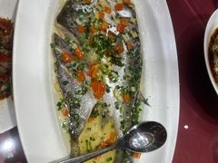 -沪碟·精菜坊(闵行店)
