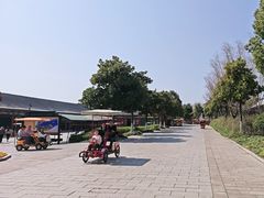 -横店圆明新园