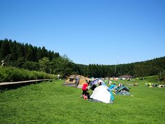 -武陵山森林公园