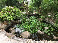 -深圳国际园林花卉博览园