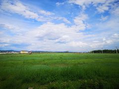 -敕勒川草原