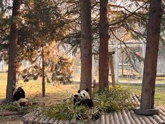-西安秦岭野生动物园