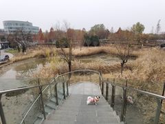 -中关村生命科学园