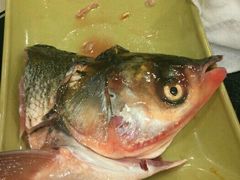 -青岛小羔羊火锅(李村公园店)