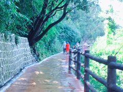 -少华山国家森林公园