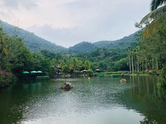 -呀诺达热带雨林