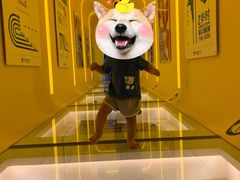 -乐融婴幼儿成长中心(四季青校区)