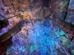 -泰安地下龙宫景区